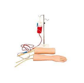 手部、肘部组合式静脉输液（血）训练模型
