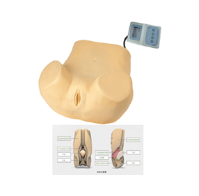 阴道后穹窿穿刺模型(电子监测) 