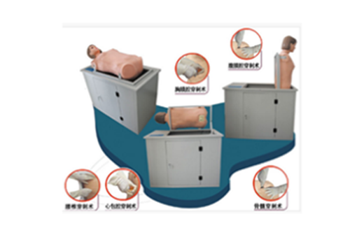 综合穿刺模拟人-临床穿刺术在教学与临床医学中的作用及意义